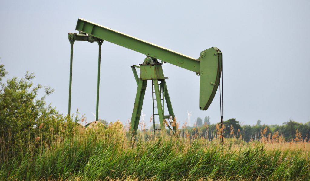 Eine Ölpumpe im NSG »Kirchwerder Wiesen« (Erdölfeld Reitbrook)